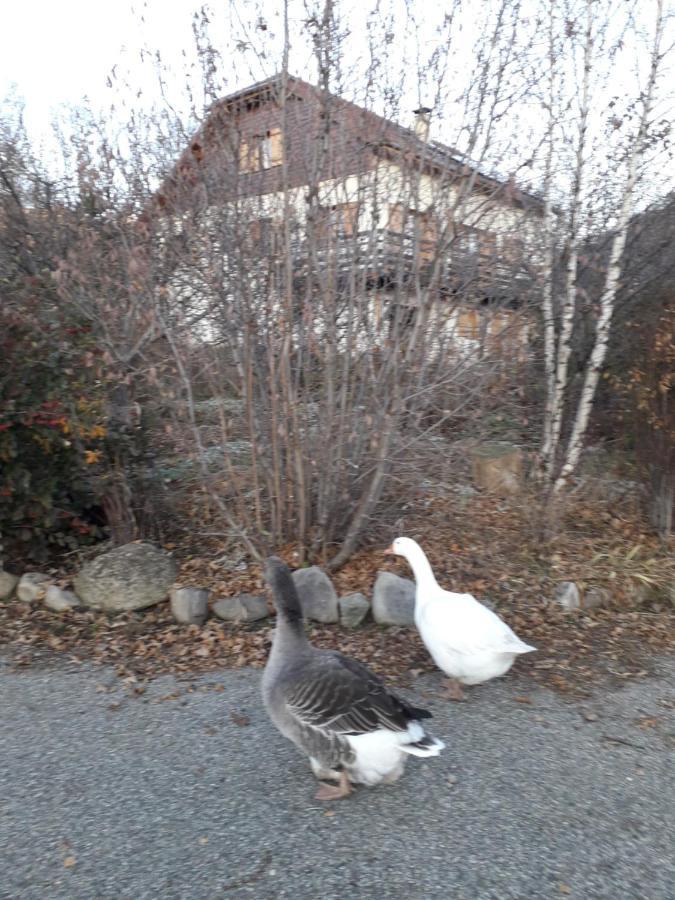 Saint-Julien-en-Champsaur Petit Appartement En Montagne מראה חיצוני תמונה